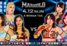 Marigold Spring Victory Series