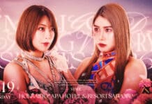 Marigold Spring Victory Series