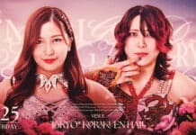 Marigold Spring Victory Series