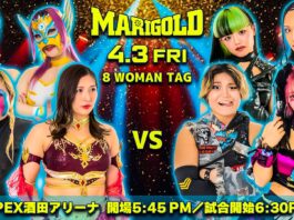 Marigold Spring Victory Series
