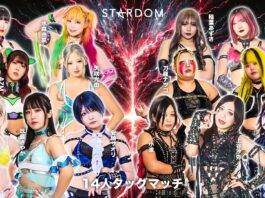 Stardom In Korakuen Hall
