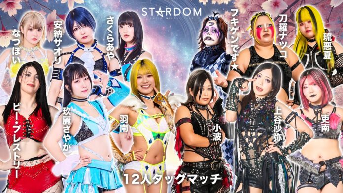 Stardom In Sendai Stardom In Sendai