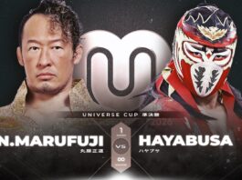 Pro Wrestling Noah Universe Cup