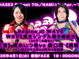 Pro Wrestling Wave Phase3 Reboot