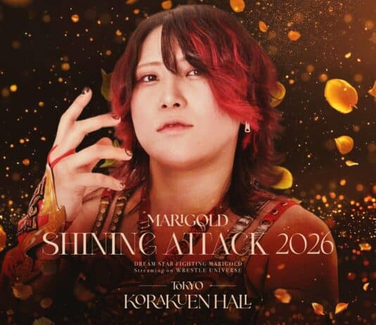 Marigold Shining Attack