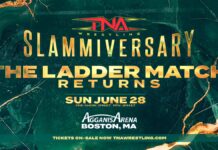 TNA Slammiversary 2026 Ladder Match