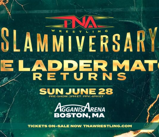 TNA Slammiversary 2026 Ladder Match