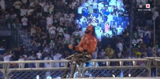 Seth Rollins