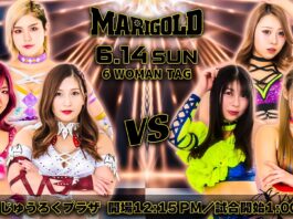 Marigold Shining Attack Night 13 Results – June 14, 2026
