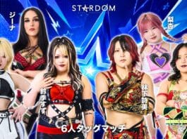 Stardom In Tajimi