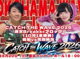 Pro Wrestling Wave Yokohama Wave