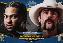 Beyond Wrestling