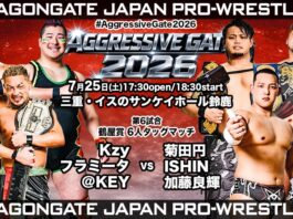 Dragon Gate Aggressive Gate