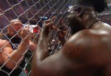 Netflix Edits Brock Lesnar And Oba Femi Segment From WWE RAW Replay Brock Lesnar - Oba Femi