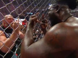 Brock Lesnar - Oba Femi