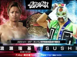 Ganbare Pro Enter The Void Results – July 4, 2026 Ganbare Pro Enter The Void