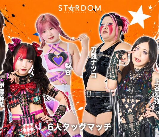 Stardom In Toyama