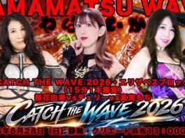 Pro Wrestling Wave Hamamatsu Wave