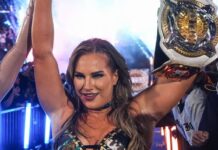 Fallon Henley Breaks Silence On Fan Altercation At WWE SNME Fallon Henley