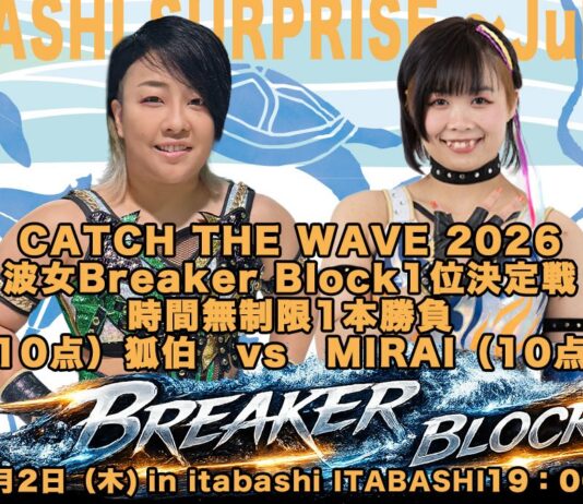 Pro Wrestling Wave Itabashi Surprise
