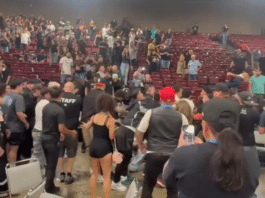 15 Arrested After Massive Brawl Breaks Out At MMA Event 559 MMA Brawl