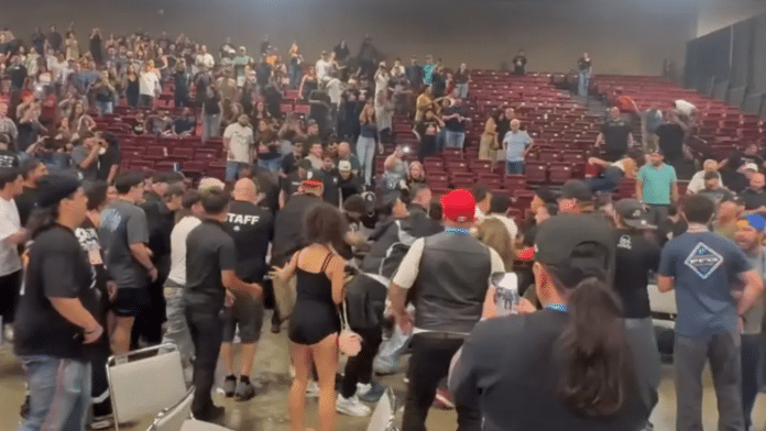 559 MMA Brawl
