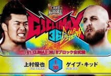 NJPW G1 Climax