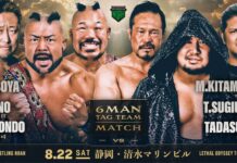 Pro Wrestling Noah Lethal Odyssey