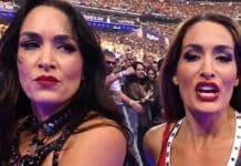 Latest Update on Brie Bella Following SummerSlam Shoulder Injury Nikki Bella - Brie Bella