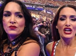 Latest Update On Brie Bella Following SummerSlam Shoulder Injury Nikki Bella - Brie Bella