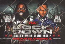TNA Lockdown X Division