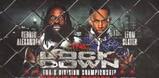 TNA Lockdown X Division