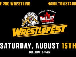 MLP WrestleFest