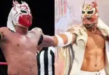 Report: Dragon Lee And Dralistico Nearing Contract Expirations, New Trademark Dralistico - Dragon Lee