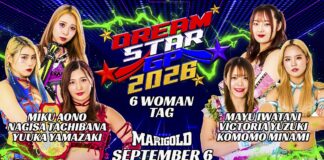 Marigold Dream Star Grand Prix