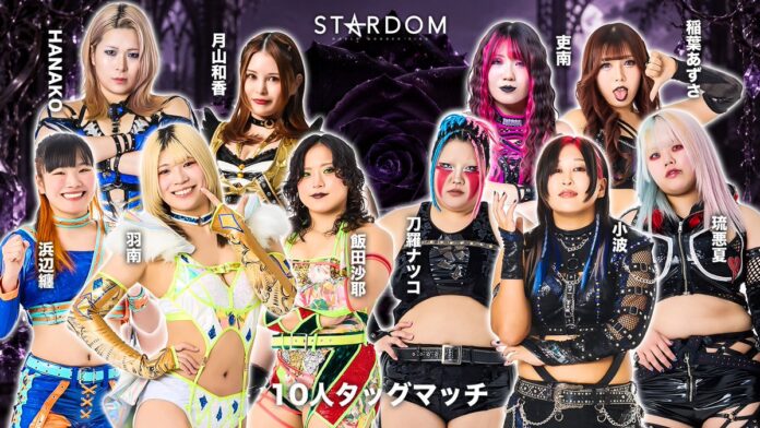 Stardom Silver Week Tour Stardom Silver Week Tour