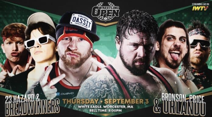 Beyond Wrestling Beyond Wrestling