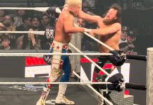 Sami Zayn - Cody Rhodes